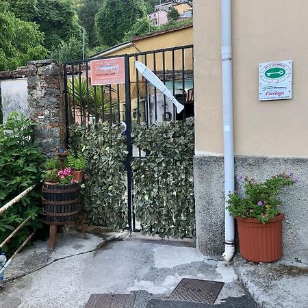 Affittacamere L'Acciuga La Spezia Exterior foto